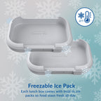 Bentgo Chill Max Lunch Box (2-Pack)